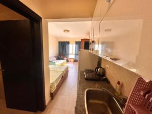 اكوه فيو الساحل الشمال