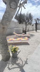 Villa Alessandra - Marina di Lecce