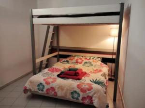 Appartements appartement 4 personnes centre ville argeles sur mer petit prix : photos des chambres