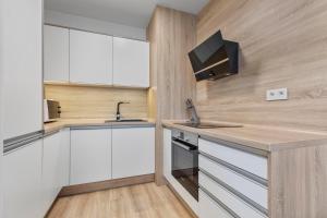 Twin Apartment 1 in Bratislava - With parking