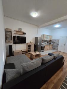 Apartments Roko