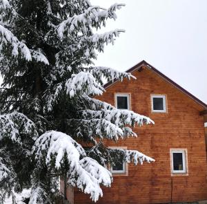 Cabana cu ciubar La Relu