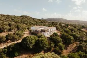 NUALI - Stazzo in Gallura - Porto Pollo