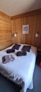 Appart'hotels Hotel et Appart'Hotel Restaurant L'Adray : photos des chambres