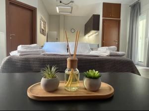 Orion apartment with private parking in the center