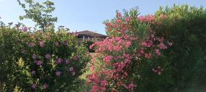 Maisons de vacances Villa Residence Les Demeures du Ventoux - Vacanceole AUBIGNAN : photos des chambres