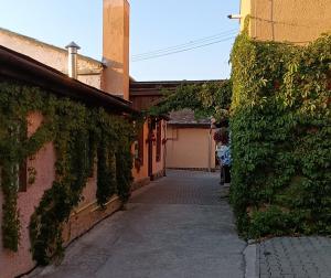 Pensiunea Casa Sighisoreana