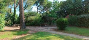 Maisons de vacances Villa Residence Les Demeures du Ventoux - Vacanceole AUBIGNAN : photos des chambres