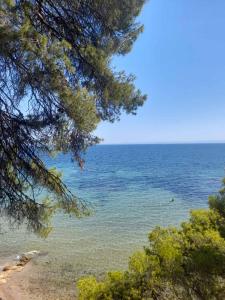 Cortessa Apartments - 3hvězdičkové hotely ve městě Nikiti