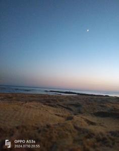 AMarescaladeiturchy Scaladeiturch