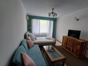 Wild Cherry 2 bedroom Apartament Economy-3