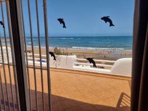 Maison de plage pieds dans leau à Bouznika