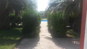 Sunny Dreams Apartments Ipsos Corfu Greece