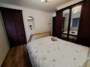 City Centre Semi-Detached-House