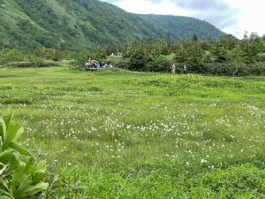白馬の里ユースホステル HAKUBA TSUGAIKE Youth Hostel