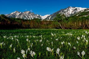 白馬の里ユースホステル HAKUBA TSUGAIKE Youth Hostel