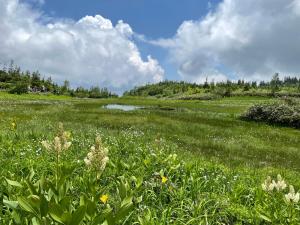 白馬の里ユースホステル HAKUBA TSUGAIKE Youth Hostel