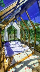 Tentes de luxe Chalet en verre sous une pluie etoilee : photos des chambres