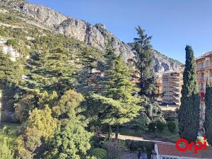 Studio avec terrasse, piscine et parking à Menton - FR-1-647-36