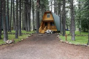 Rustic Cabin 2 - Two Bedroom - Overgaard