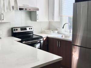 Brand New Modern Laneway House