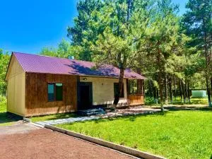 Milenium Villa on Sevan beach - Tsamakaberd