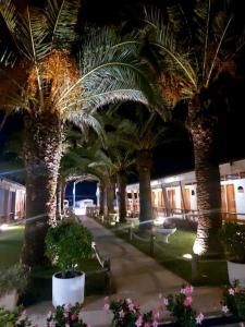 Design apartment on the beach