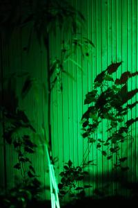 Fuji room with terrace in city centre