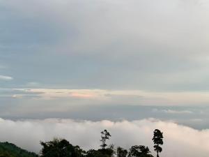 Tae Khob Fah at Phu Thap Buek