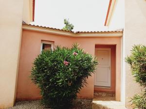 Appartements Appartement T2 bord de mer/piscines : Villa - Vue sur Jardin