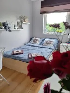 Pokój w apartamencie z pięknym widokiem na morze - Chylonja