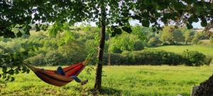 Lodges Chalet au bord de l-eau les Logis de l-Oumois : photos des chambres