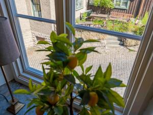 Charming penthouse in the center of Visby