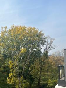 Luksusowy apartament w Parku Skaryszewskim z widokiem na centrum Warszawy