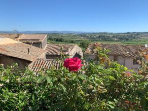 B&B / Chambres d'hotes La rose du vent : photos des chambres