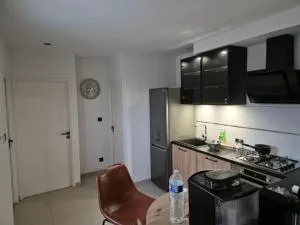 Mimosas standing - Juvignac