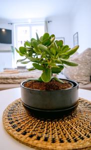 Stilvolles Apartment im lässigsten Viertel