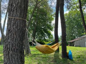 Maisons d'hotes Hozho Tempo - Sous les pins, Bed & Breakfast ecofriendly & slowlife avec sauna : photos des chambres