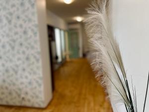 Kotermanni Residents - Kuressaare Old Town apartment with sauna