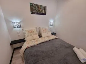 LES AGAPANTHES du 27 -ème - Maison de lʼEnfance