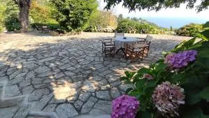 White stone house with great sea view - Xorychti