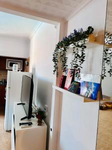 Apartamento La Deseada