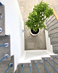 ChezmoiHomes PATIO de LUZ - Stylish apartments in Párraga 13