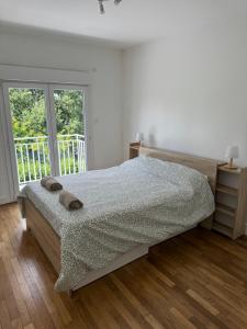 Appartement proche de Tours