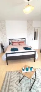 Location chambre spacieuse avec balcon et piscine - 阿尔比