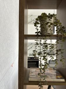 ABC Apartment Blloku Center