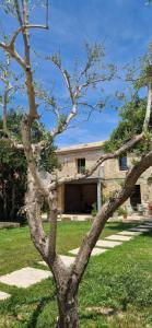 Appartements Appartement dans un mas provencal renove : Appartement 2 Chambres
