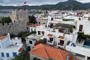 Castle81homes Yellow-Sarı , Sea View House