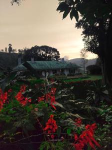 Gartmore Estate Bungalow