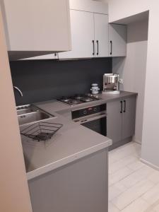 Apartament Kamienica